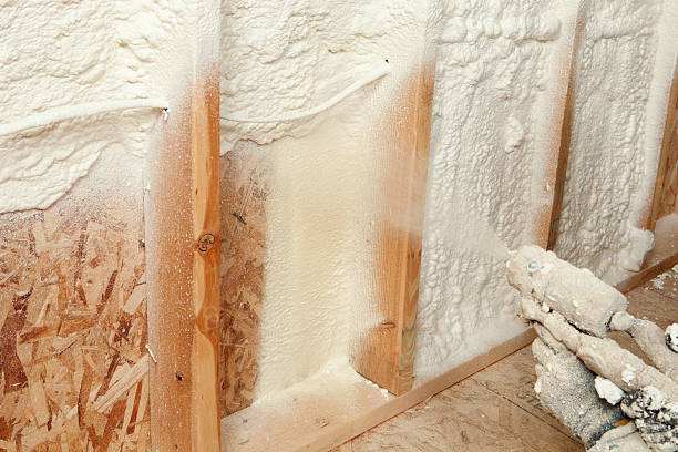 Types of Insulation We Offer in Toulon, IL