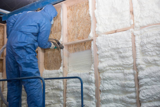 Best Eco-Friendly or Green Insulation Solutions  in Toulon, IL